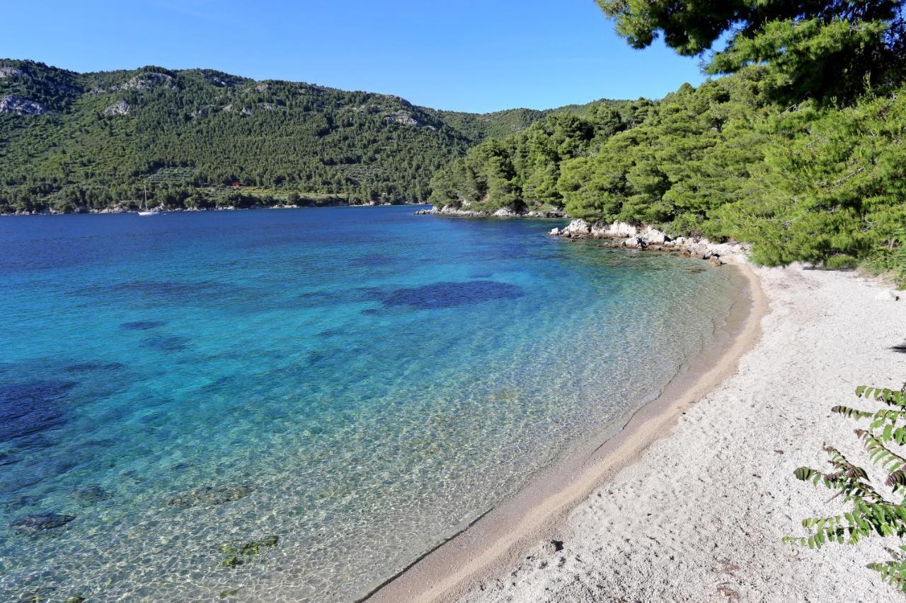 Apartments By The Sea Zuljana, Peljesac - 19080 Εξωτερικό φωτογραφία